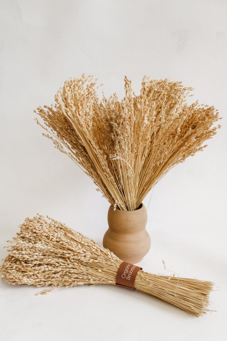 Locally Grown Organic Broomcorn