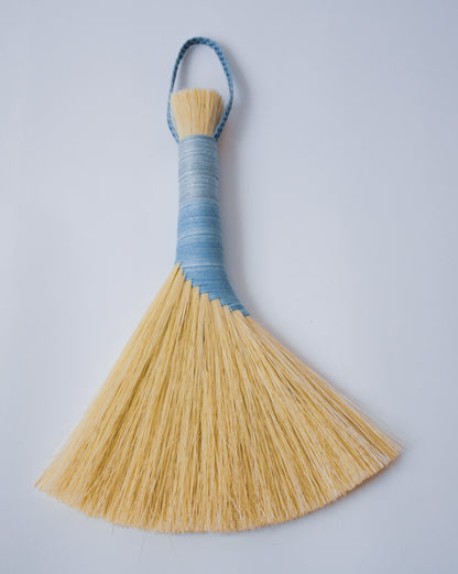 Tampico-handbroom-with-light-blue-handle