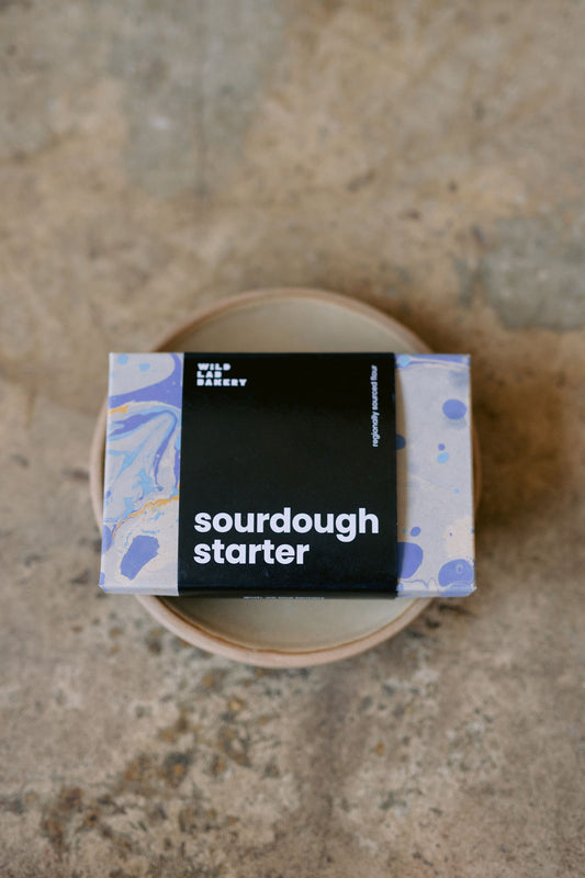 Sourdough Starter