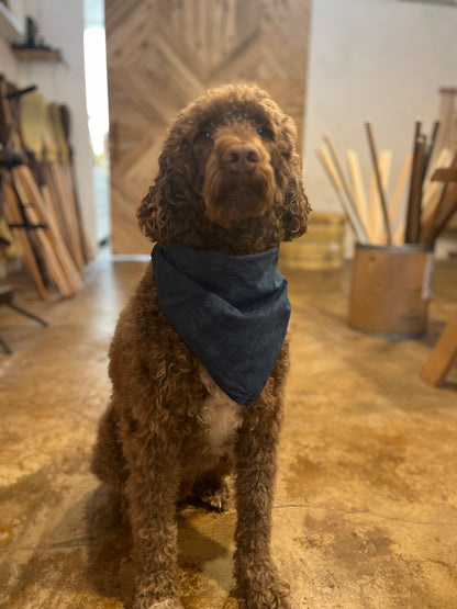 Indigo Dyed Organic Cotton Bandana + Tulip Bulbs